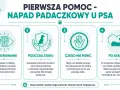 Pierwsza pomoc w przypadku padaczki u psa: rozpoznawanie, co robić podczas ataku, czego nie robić i postępowanie po ataku.