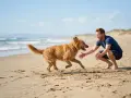 Szczęśliwy mężczyzna na plaży zachęca psa do przyjścia na zawołanie. Pies biegnie do niego z radością.