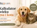 Złoty retriever i pręgowany kot leżą obok siebie. Obok tekst: "Kalkulator wieku psa i kota", "oparte na nauce", "dokładniejsze niż 'razy 7'". Sprawdź, ile lat mają Twoi pupile, poznaj ich kocie lata!
