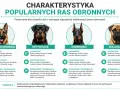Porównanie popularnych ras psów obronnych: owczarek niemiecki, rottweiler, doberman, bullmastiff. Charakterystyka i wymagania.