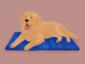Złoty retriever leży na niebieskiej macie, dysząc. Jego gruczoły potowe pracują, by ochłodzić ciało.