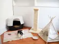 Czarno-biały kotek rozgląda się po swoim nowym domu. Obok kuwety, drapaka i tipi stoi miseczka z napisem "Meow".
