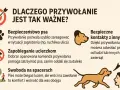 Jak nauczyć psa przywołania? Grafika pokazuje, dlaczego przywołanie jest ważne: bezpieczeństwo psa, zapobieganie ucieczkom, swoboda na spacerach i bezpieczne kontakty z innymi.