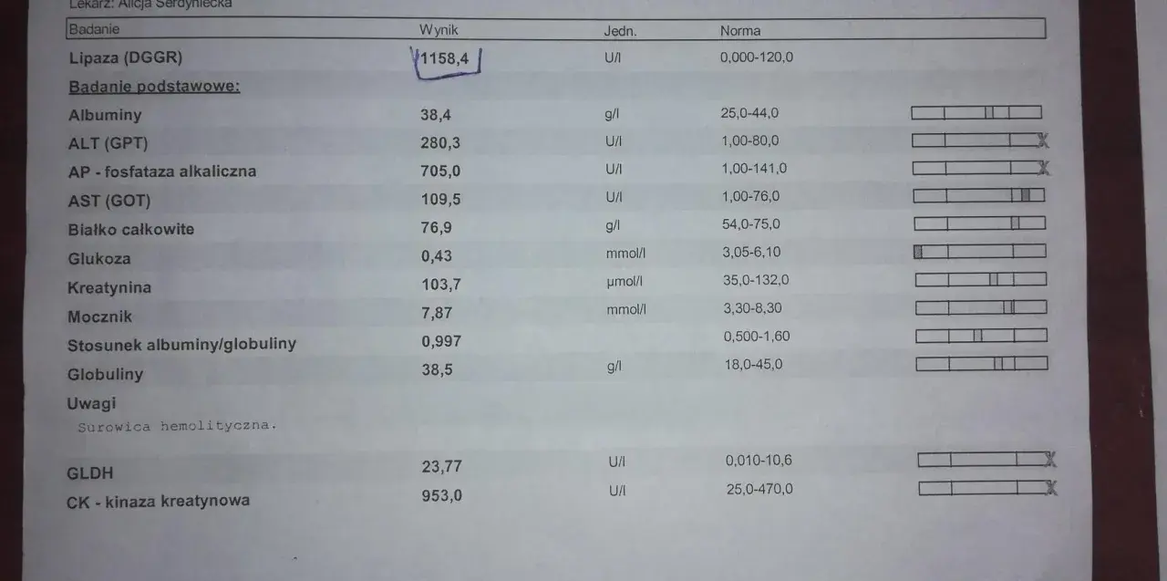 Wynik badania psa: wysoka lipaza (1158,4 U/I) wskazuje na potencjalne problemy zdrowotne.