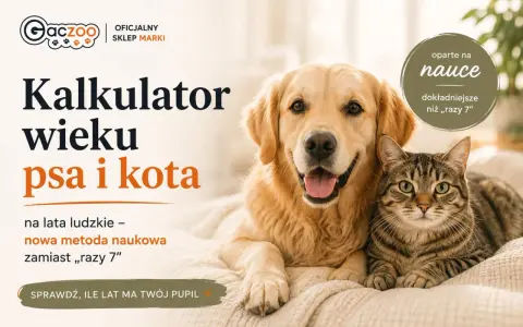 Złoty retriever i pręgowany kot leżą obok siebie. Obok tekst: "Kalkulator wieku psa i kota", "oparte na nauce", "dokładniejsze niż 'razy 7'". Sprawdź, ile lat mają Twoi pupile, poznaj ich kocie lata!
