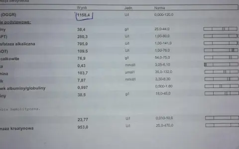 Wynik badania psa: wysoka lipaza (1158,4 U/I) wskazuje na potencjalne problemy zdrowotne.