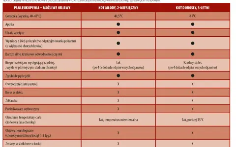 Tabela porównuje objawy panleukopenii u młodego kota i kota dorosłego. Wymienia gorączkę, utratę apetytu, wymioty, biegunkę, objawy neurologiczne i inne.