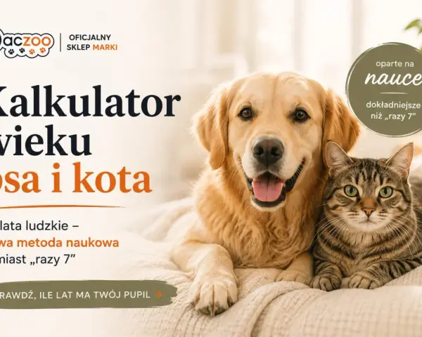 Złoty retriever i pręgowany kot leżą obok siebie. Obok tekst: "Kalkulator wieku psa i kota", "oparte na nauce", "dokładniejsze niż 'razy 7'". Sprawdź, ile lat mają Twoi pupile, poznaj ich kocie lata!