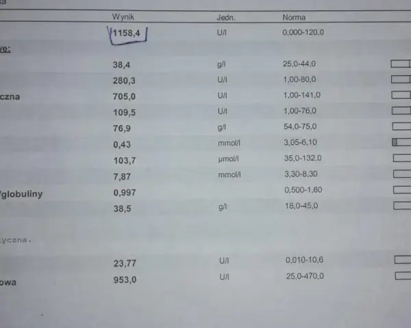 Wynik badania psa: wysoka lipaza (1158,4 U/I) wskazuje na potencjalne problemy zdrowotne.