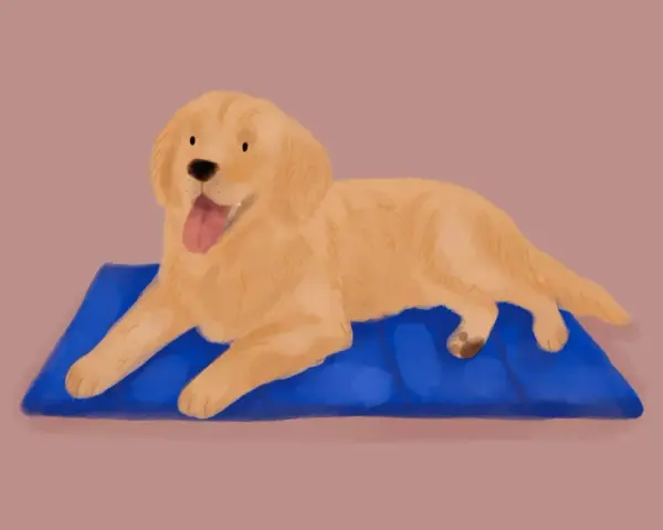 Złoty retriever leży na niebieskiej macie, dysząc. Jego gruczoły potowe pracują, by ochłodzić ciało.