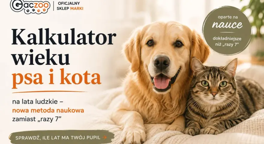 Złoty retriever i pręgowany kot leżą obok siebie. Obok tekst: "Kalkulator wieku psa i kota", "oparte na nauce", "dokładniejsze niż 'razy 7'". Sprawdź, ile lat mają Twoi pupile, poznaj ich kocie lata!