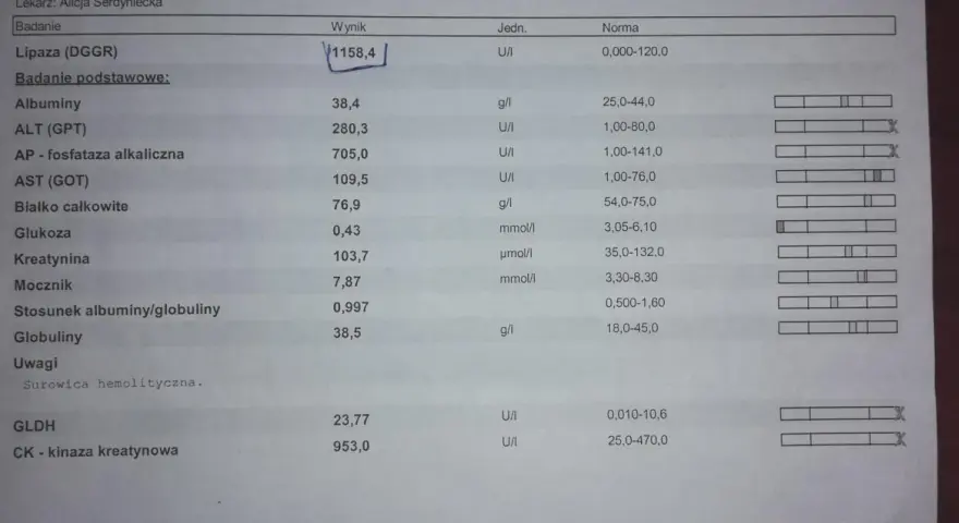 Wynik badania psa: wysoka lipaza (1158,4 U/I) wskazuje na potencjalne problemy zdrowotne.