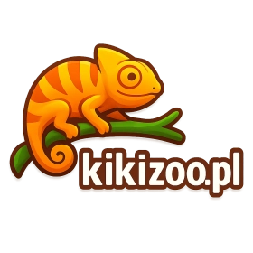 kikizoo.pl