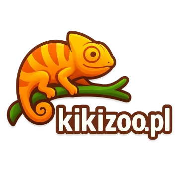 Logo kikizoo.pl